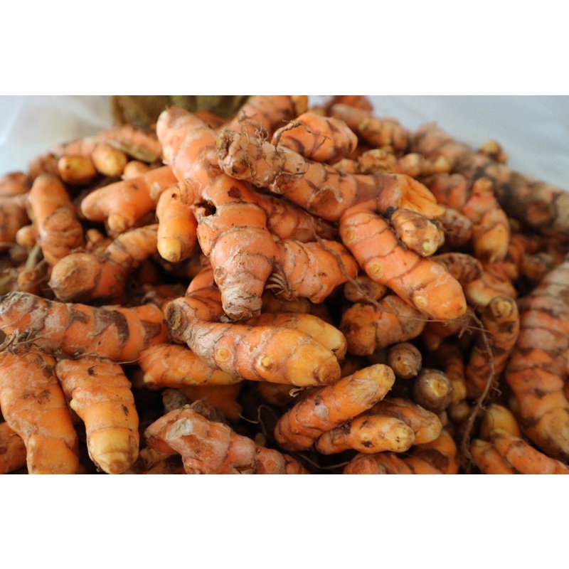 Nghệ đỏ tươi có tác dụng gì Nghệ đỏ tươi có tác dụng gì