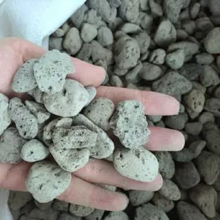 Nơi nhập dữ liệu
