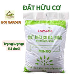 Nơi nhập dữ liệu