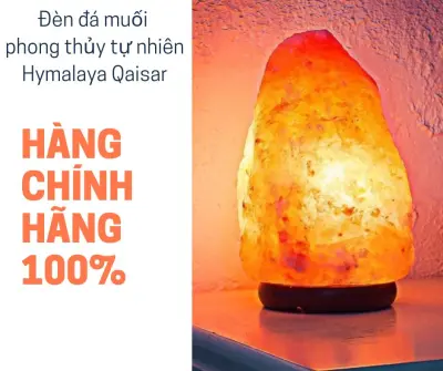 Nơi nhập dữ liệu