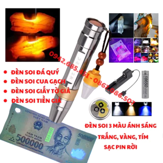 Nơi nhập dữ liệu